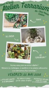 Atelier Terrarium : rejoins-nous pour un atelier v&eacute;g&eacute;tal ! 