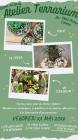 Atelier Terrarium : rejoins-nous pour un atelier v&eacute;g&eacute;tal ! 
